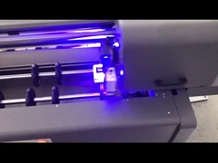 Номер выпуска 8