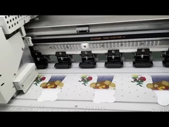 Печатный принтер DTF для футболки с режимом скорости 4 кв.м/ч и опциональным программным обеспечением PhotoPrint Rip